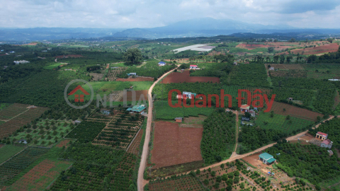 Owner selling quickly at a good price: 4 plots of land in Tan Ha, Lam Ha - Each plot over 500m2 - Only 1.099 billion VND per plot. _0