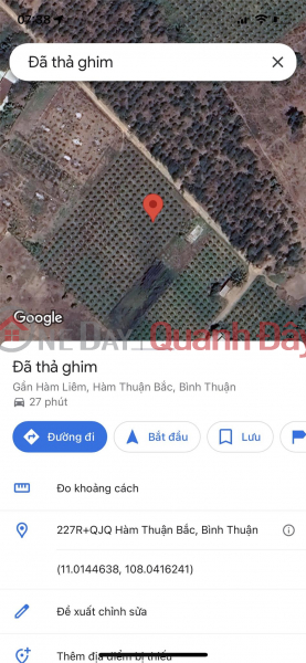 Property Search Vietnam | OneDay | Nhà ở | Niêm yết bán | Chính Chủ Cần Bán Gấp Lô Đất 5000m2 Cây Lâu Năm Tại Hàm Liêm