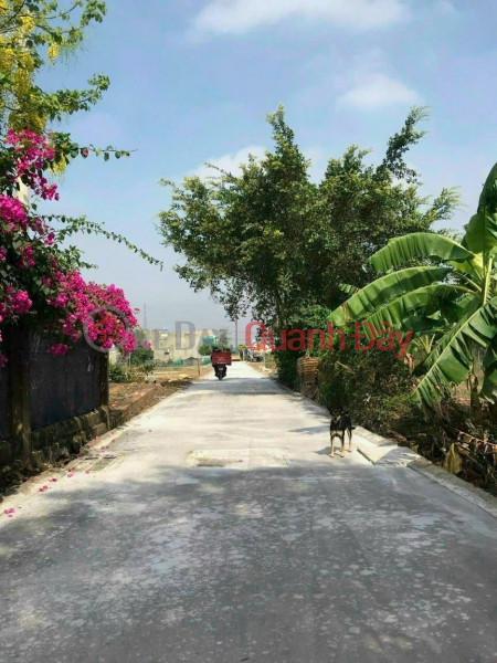 CHÍNH CHỦ CẦN BÁN ĐẤT khu Thanh Vân Long, xã Phú Đông, Nhơn Trạch, Đồng Nai Niêm yết bán