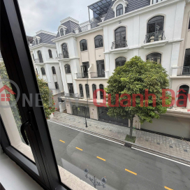 Chính chủ ngộp bank cắt lỗ sâu cần bán căn biệt thự Vinhomes ocean park 2, DT 84m2 _0