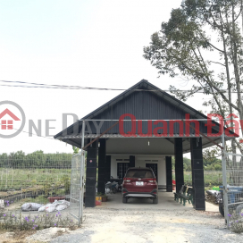 For sale by owner 1hectare available farm 1200m2 Tho Cu Near Phuoc Dong Industrial Park, Trang Bang Tay Ninh _0