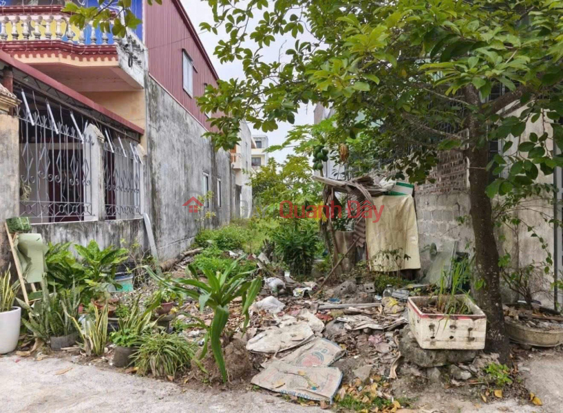 ĐẤT TUYẾN 2 ĐƯỜNG THANH NIÊN – ĐỒ SƠN GIÁ 26,x TR/M² QUỸ ĐẤT GẦN BIỂN – THANH KHOẢN TỐT ZALO 0567 222 555, Việt Nam Bán | đ 2,65 tỷ