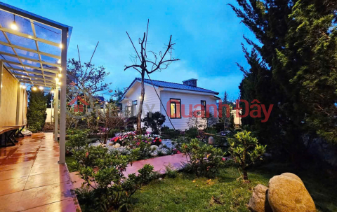 Mini Villa for Sale in Rickland Area - Manglin P7 - Da Lat _0