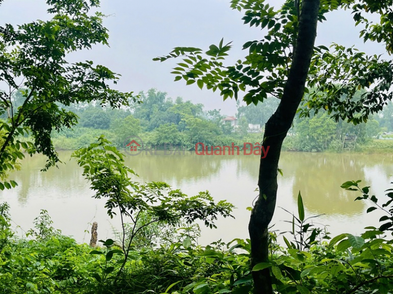 | Làm ơn chọn, Nhà ở Niêm yết bán đ 43 tỷ