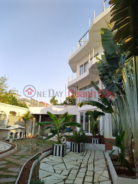 Villa for sale on Vuon Lai Street, An Phu Dong District 12, fully furnished, receive housing immediately Sales Listings