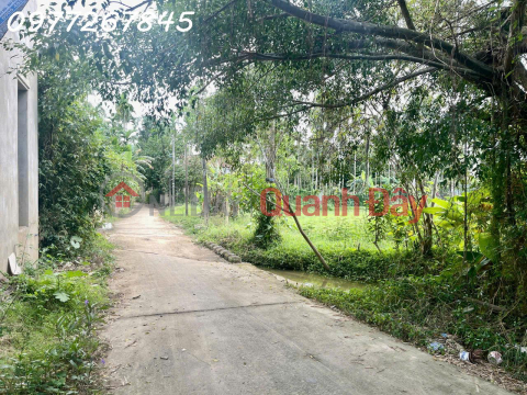Rare opportunity - Land for sale in Hoi An, area 500m2, selling price 45 million VND\/m2 _0