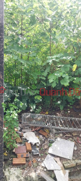 Property Search Vietnam | OneDay | Nhà ở Niêm yết bán BÁN ĐẤT ĐÔNG DƯ – BÁT TRÀNG 41,7m² Ô TÔ VÀO SÁT NHÀ CẠNH HỒ ĐIỀU HÒA GIÁ CHỈ 5 TỶ