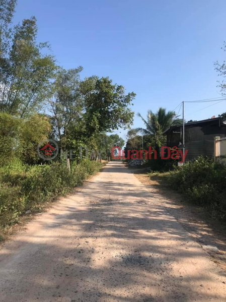 Property Search Vietnam | OneDay | Residential Sales Listings | Golden opportunity to own a beautiful square land in Suoi Cat - Cam Lam! Cheap price 600 million\\/lot