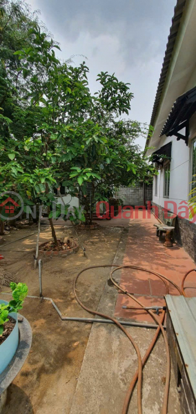  Làm ơn chọn, Nhà ở Niêm yết bán, đ 10 triệu