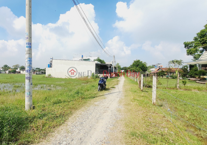 Property Search Vietnam | OneDay | , Sales Listings | Owner urgently lowers 1.9 billion to sell land plot 10x30m in Tram Lac hamlet, My Hanh Bac, Duc Hoa, 4m road