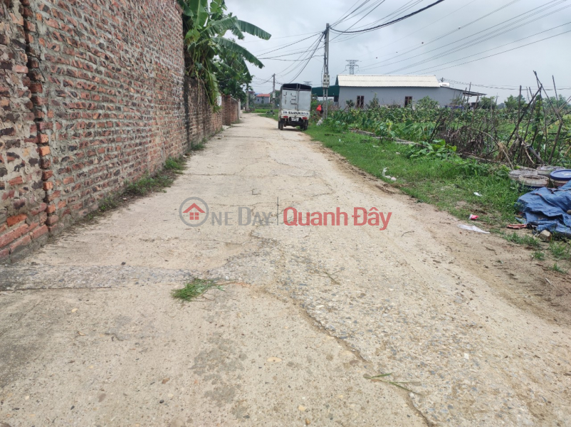 Property Search Vietnam | OneDay | Residential, Sales Listings, Just a little more than 20m from the village of Tan Dan, Soc Son, right at the Industrial Park and beltway 4