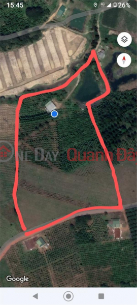 BEAUTIFUL LAND - GOOD PRICE - Land Lot For Sale Prime Location In Dak NIA - GIA GIA CITY - Dak Ngo Sales Listings