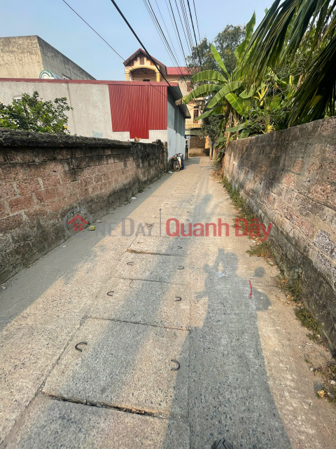 Owner sells land in Thuan An Commune, Hanoi - 50.1m², car access, price 2.42 billion _0