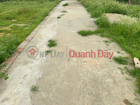 For only 2.5 billion VND, own a 54m² plot of land in Ấp Quan village - Tổ 9, Quang Minh commune, Mê Linh district. Wide road, parking available. _0