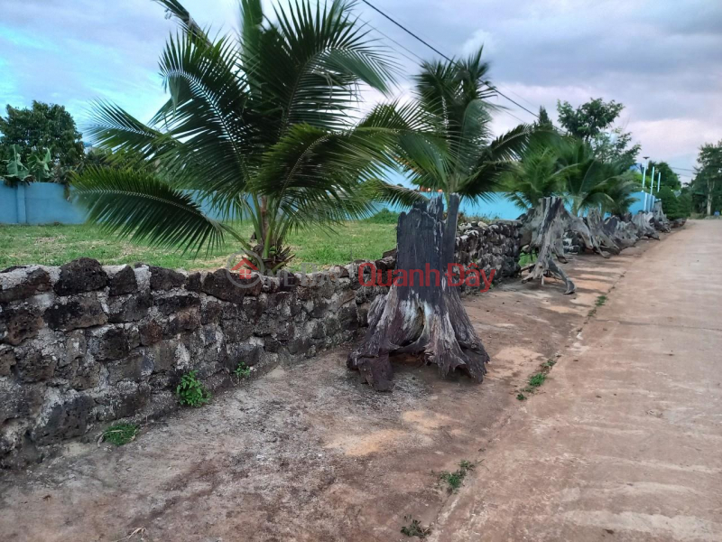BEAUTIFUL LAND - GOOD PRICE OWNER Needs to Sell Quickly Beautiful Land Lot in eana Commune, Krong Ana Dak Lak, Vietnam Sales ₫ 3.2 Billion