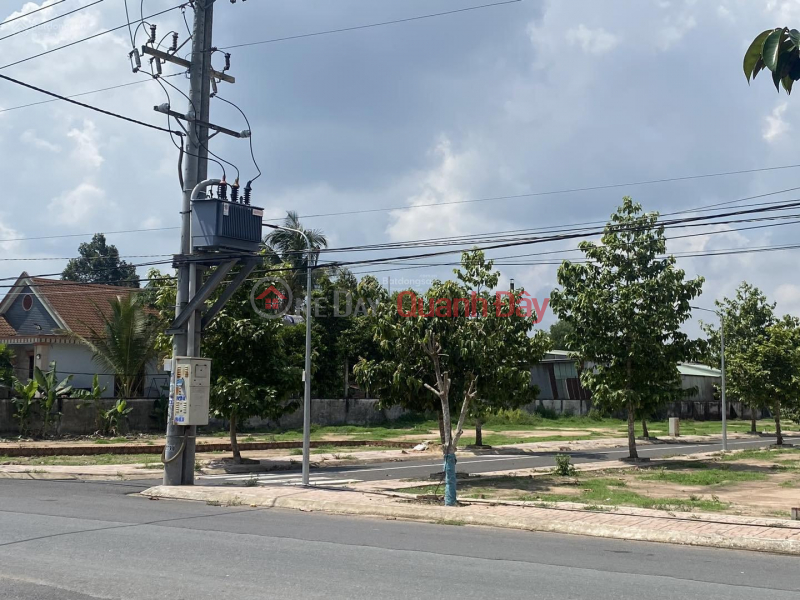Urgent sale of land lot on Phu Thuan street frontage - Phu My Hung commune, Cu Chi district, Ho Chi Minh city. Sales Listings