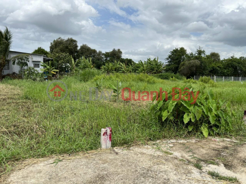 HOT HOT TO OWN A BEAUTIFUL LOT OF LAND - GOOD PRICE IN Can Giuoc, Long An _0