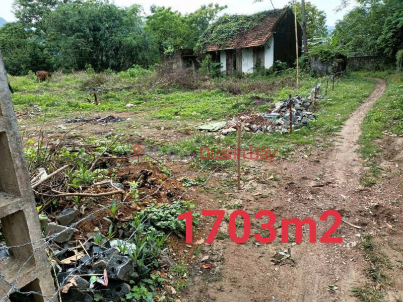 SUPER HOT!!! QUICK SALE OF 3 BEAUTIFUL LAND LOTS IN MY HOA COMMUNE, KIM BOI, HOA BINH. INVESTMENT PRICE Sales Listings