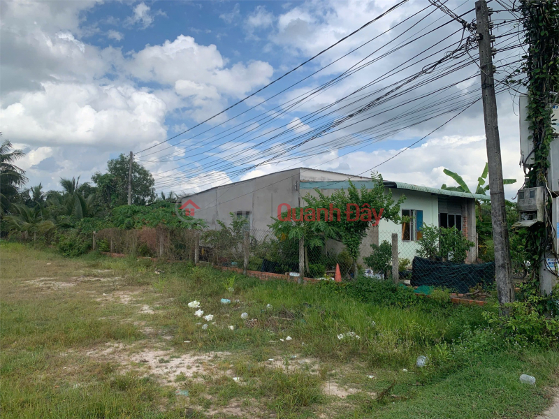 đ 3.2 Billion | BEAUTIFUL LAND - GOOD PRICE - LAND FOR SALE IN DUC HOA AREA, near Truong Tan Sang Pagoda