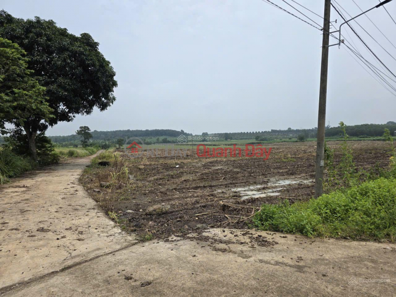 Property Search Vietnam | OneDay | Nhà ở Niêm yết bán | BÁN GẤP 36.950M2 CÓ SẴN 600M2 THỔ CƯ 2 MẶT TIỀN NGAY GẦN SÂN BAY LONG THÀNH
