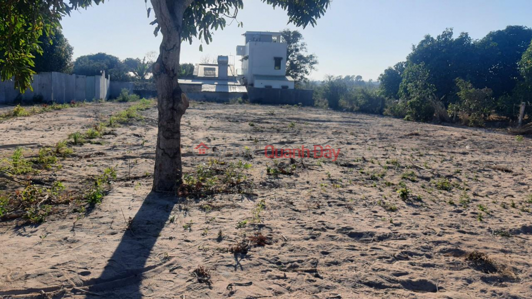 PRIME LAND - GOOD PRICE - 2 Lots For Urgent Sale In Long Hai Town, Long Dien, Ba Ria Vung Tau Sales Listings