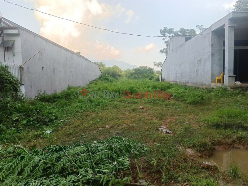 BEAUTIFUL LAND - GOOD PRICE - Owner Needs to Sell Land Lot in Tam Thanh Commune, Tan Son District, Phu Tho Province., Vietnam Sales | đ 450 Million