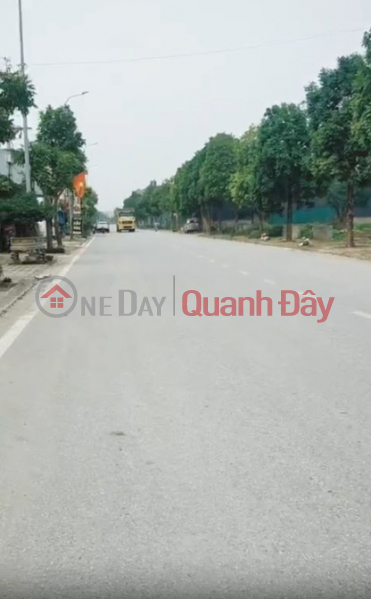 Chỉnh chủ em có miếng đất cần bán nhanh - Trục chính tái định cư: Hồng Vân, Thường Tín, Việt Nam Bán đ 19 tỷ