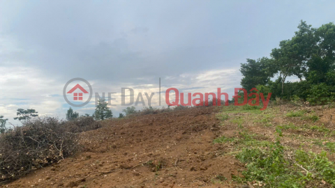 Chính chủ bán đất Bắc Sơn, Đắk Mil, Lâm Đồng - 2,75ha, cách QL14 chỉ 400m, có hồ 2.000m3 _0