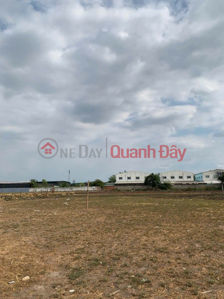 Property Search Vietnam | OneDay | Residential, Sales Listings | (4) Large land for sale, frontage, container road, 9,310m2, Hoc Mon District, price reduction 50 billion x billion