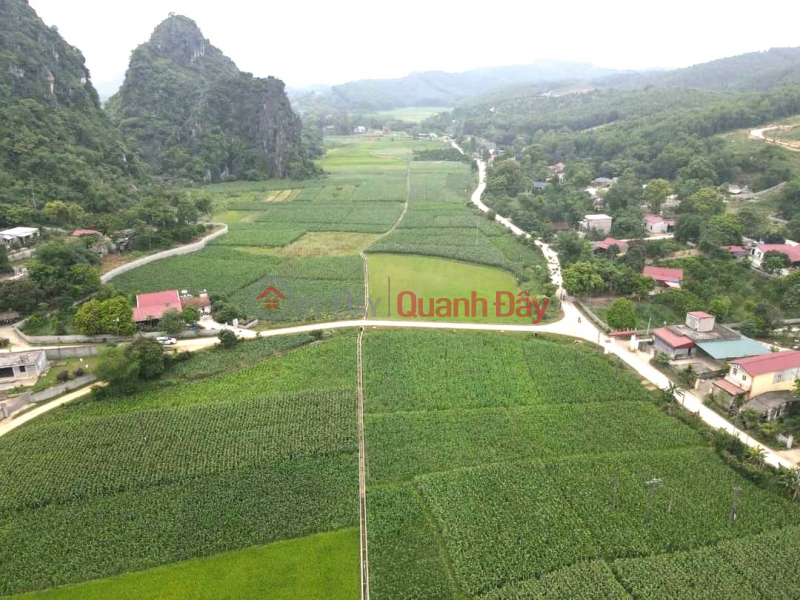 Property Search Vietnam | OneDay | , Niêm yết bán Bán 5914m 1500m ONT, Cao Dương, Lương Sơn, Hòa Bình.