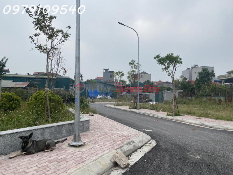 Land auctioned in Ngu Hiep, Thanh Tri, cars entered the land, investment price was 3.x billion Sales Listings