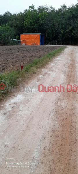Property Search Vietnam | OneDay | Residential | Sales Listings | Cheap land in hamlet 4, Tru Van Tho commune, Bau Bang, Binh Duong