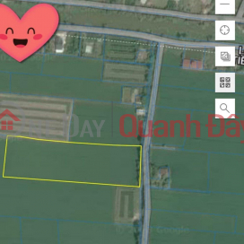 BEAUTIFUL LAND - GOOD PRICE - For Quick Sale Land Lot Prime Location In Tien Giang _0