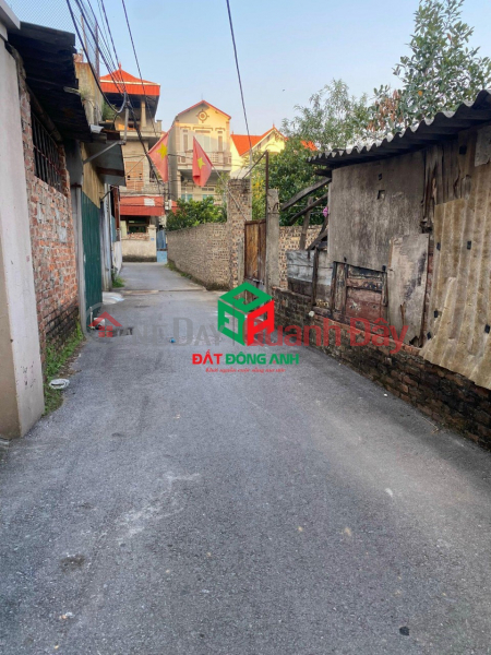 Property Search Vietnam | OneDay | Residential | Sales Listings | The owner sells a house 65m Tien Kha, Tien Duong with car access to the land, the road is more than 3m wide