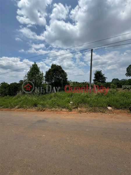 Property Search Vietnam | OneDay | Nhà ở | Niêm yết bán, ĐẤT ĐẸP - GIÁ TỐT - Bán GẤP Đất Vị Trí Đẹp Tại Xã Đăk Som Đăk Glong Đăk Nông