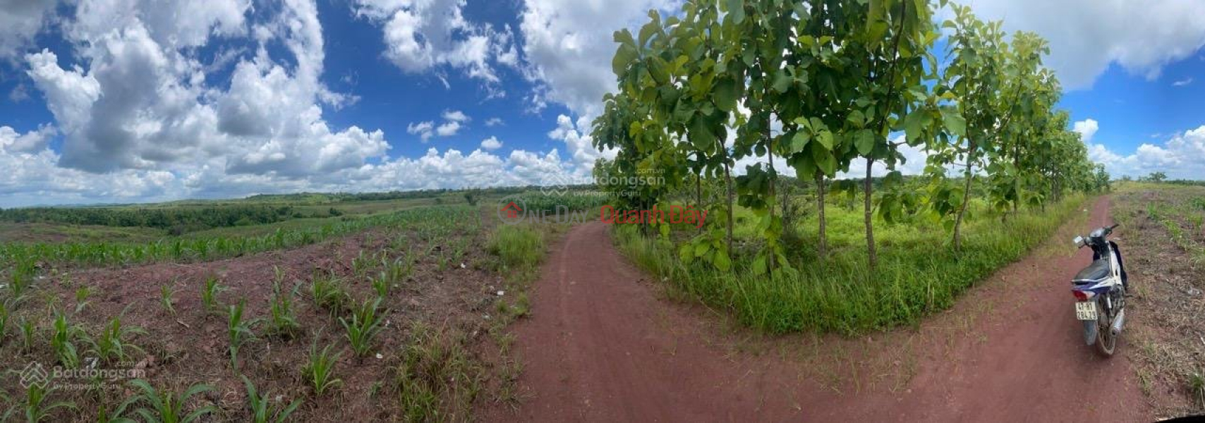 Land for sale by owner in Quang Hiep commune, Cu M'gar district, Dak Lak province Sales Listings