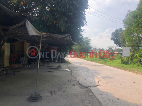 NHÀ VƯỜN ĐẸP – CHÍNH CHỦ CẦN BÁN Nhà Vườn Mặt Tiền Đường Nam Cao, P. Tân Mai, Biên Hòa, Đồng Nai _0