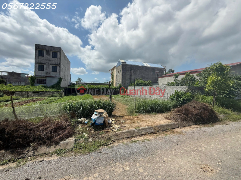 Property Search Vietnam | OneDay | Nhà ở Niêm yết bán | SIÊU PHẨM TĐC HÒA NGHĨA – 100M² MẶT TIỀN 5M, VIEW CAO TỐC, GIÁ CHỈ 2,X TỶ ZALO 0567 222 555