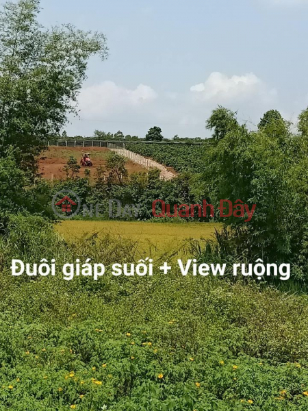 Property Search Vietnam | OneDay | Niêm yết bán Đất mặt tiền 613 võ văn kiệt, tp Pleiku