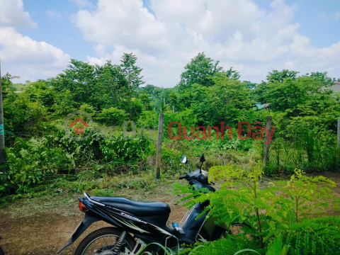 OWNER SELLS BEAUTIFUL LAND PLOT right in the commercial center of NGAI GIAO - CHAU DUC - BA RIA VUNG TAU _0