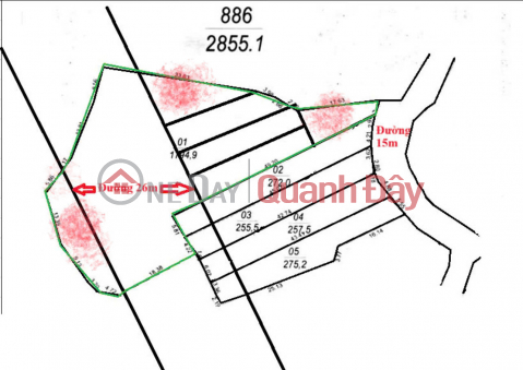 BÁN GẤP KHU ĐẤT ĐẸP TẠI PHƯỜNG TRÙ HỰU - THỊ XÃ CHŨ _0