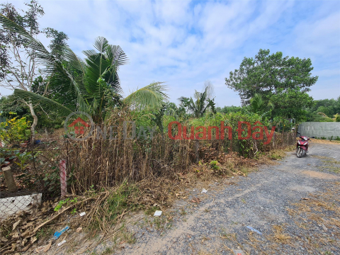 BEAUTIFUL LAND - GOOD PRICE - QUICK SALE Land Lot at Street No. 6, Binh Loi Commune, Binh Chanh District, HCM _0
