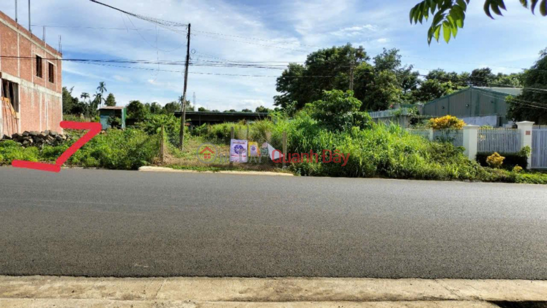 OWNER Sells Land On the front of Provincial Road 1, Nguyen Thi Dinh, Ea Nuol Commune, Buon Don, Dak Lak Sales Listings