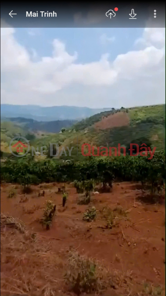 đ 65 Billion | BEAUTIFUL LAND - GOOD PRICE - Urgent sale of LAND FOR PLANTING PERENNIAL PLANTS IN TA NUNG, DA LAT CITY