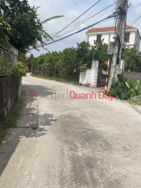 Selling 720m2 of land in Chuong Duong, Thuong Tin. _0