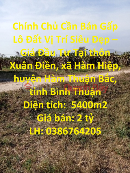 Owner Needs Urgent Sale of Land Lot Super Nice Location – Investment Price in Ham Hiep Sales Listings