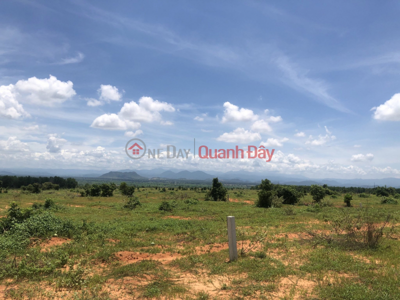 Property Search Vietnam | OneDay | | Niêm yết bán, Chính chủ cần bán gấp lô đất biển 1347m2 , xã Hòa Thắng, Bắc bình, Bình Thuận