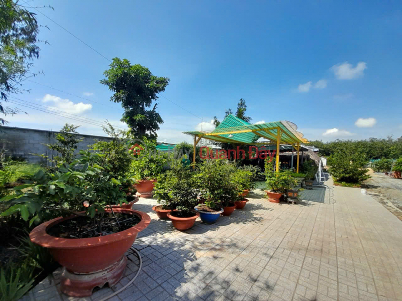 OWNER selling land on Street No. 3, Boi Loi, Ninh Phuc Quarter, Ninh Thanh Ward, Tay Ninh City | Vietnam Sales đ 10 Million