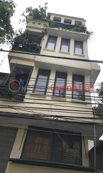 House for sale on Ngo Xuan Quang street, city center, 25.5 billion, for all types of business Sales Listings