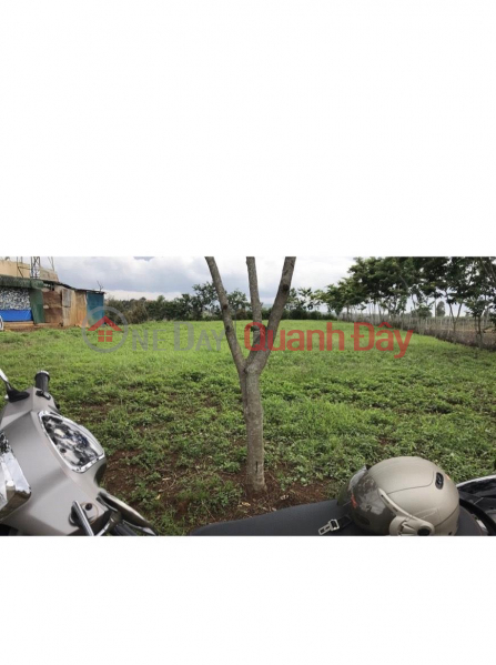 FOR QUICK SALE OF LAND LOT Location At Phu Dong Thien Vuong Street, Lien Nghia Town, Duc Trong, Lam Dong. Sales Listings